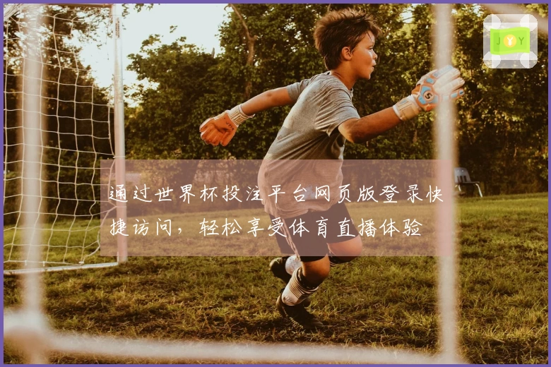 通过世界杯投注平台网页版登录快捷访问，轻松享受体育直播体验