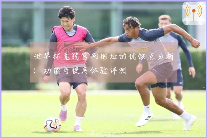 世界杯竞猜官网地址的优缺点分析：功能与使用体验评测