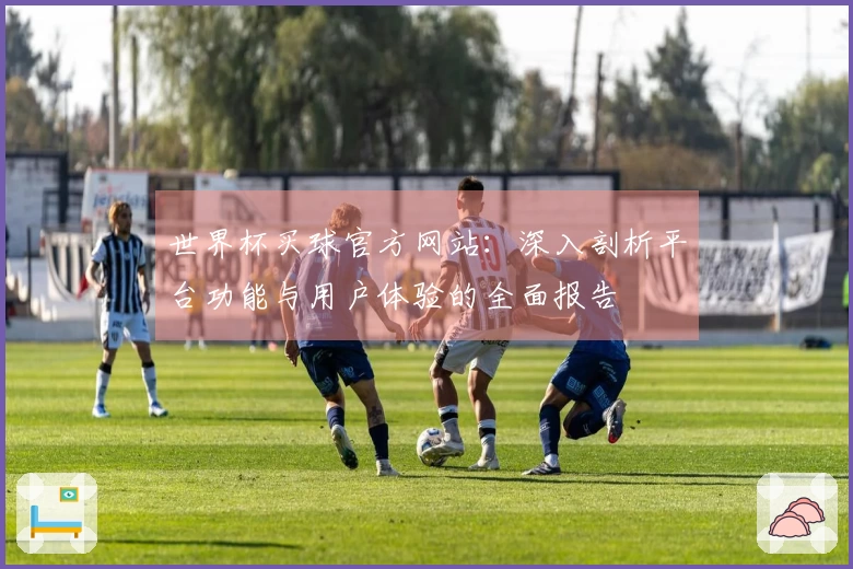 世界杯买球官方网站：深入剖析平台功能与用户体验的全面报告