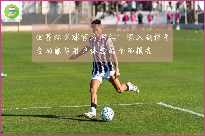 世界杯买球官方网站：深入剖析平台功能与用户体验的全面报告