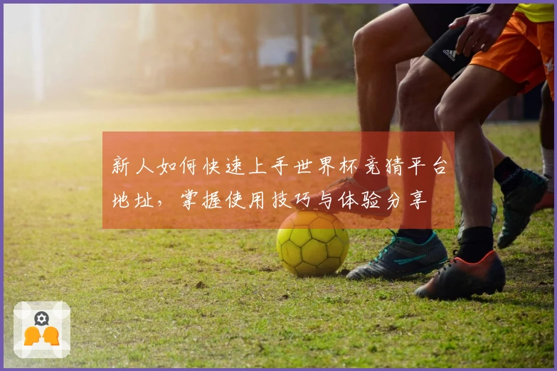 新人如何快速上手世界杯竞猜平台地址,掌握使用技巧与体验分享